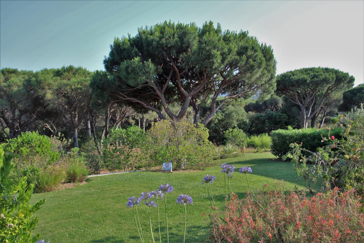 Appartement Les Pins Bleus A8 Sainte-Maxime Exteriör bild